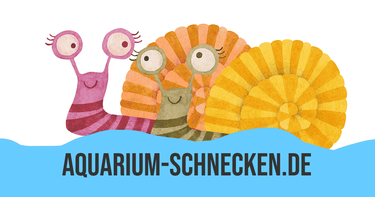 (c) Aquarium-schnecken.de